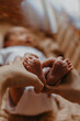 © Ananass - legs of a newborn baby in parental hands