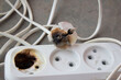 the plug and socket burned melted short circuit