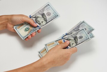 Wall Mural - Woman counting dollars money, top view