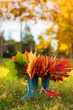 Autumn bouquet of multicolored maple leaves in green rubber boots on the background of the park