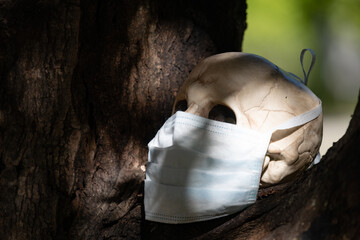 Skull with surgical mask in a fall autumn Halloween setting with a shallow depth of field