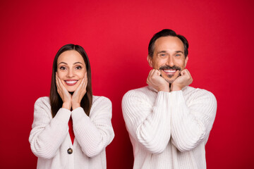 Poster - Photo of positive happy mature man and woman hold hands face good mood isolated on red color background