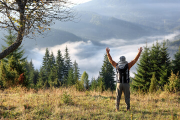 Wall Mural - Tourist with backpack in mountains on sunny day, back view. Space for text