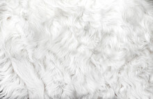White Animal Fur. Weasel Or Cat Hair. Fur Clothes, White Fur Coat Close Up.