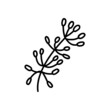 © anngirna - Single hand drawn twig. Vector illustration in doodle style. Isolate on a white background.