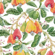 Beautiful seamless pattern with watercolor hand drawn branches with colorful cashew nuts small flowers and green leaves. Stock illustration.