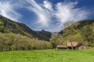 Poster - Paysage des Vosges