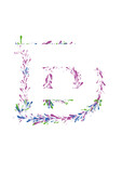 Fototapeta Motyle - Letter D Outline with Red Green and Blue Splashes 