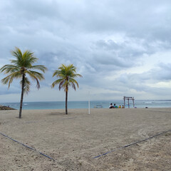 Natural view of two coconut trees on the seaside under a cloudy sky