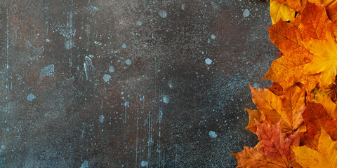 Poster - Autumn background with fall maple leaves on rusted metallic surface