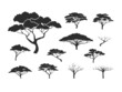 acacia tree vector collection, silhouette of acacia tree