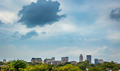 Wall Mural - Louisville, Kentucky skyline with tops of the nearby forest on the foreground and dramatic clouds in the sky