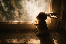 Stuffed Bunny Toy Silhouette In The Light Of A Window At Kindergarten  - Kopachi Village, Chernobyl Exclusion Zone, Ukraine