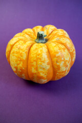 Wall Mural - a small raw yellow and orange pumpkin stands close against a lilac background. side view. vegetables in autumn