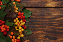 Red - Yellow Viburnum And Rowan Berries With Green Autumn Leaves On Brown Wooden Background With Empty Space For Text, Copy Space, Flat Lay, Greeting Card Concept, Cover, Organic Products Advertising