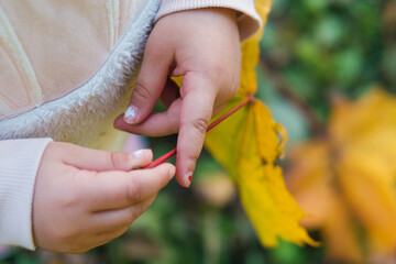 Autumn and three years old girl in a park.