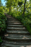 Fototapeta Do pokoju - Wooden path in Plitvice National Park, Croatia in Europe