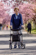 Seniorin, 86 Jahre alt, geht mit Rollator im Park spazieren, im Frühling zur Zeit der Kirschblüte