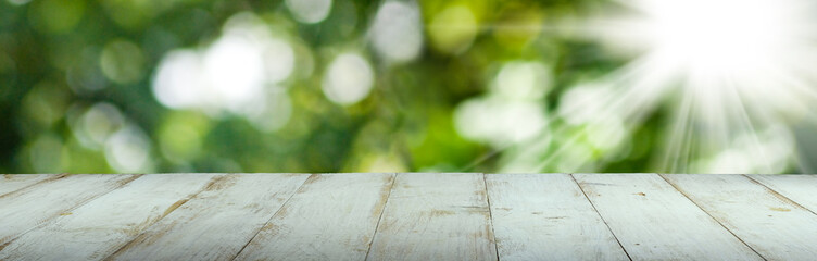 Wall Mural - image of board on natural blurred green background close-up