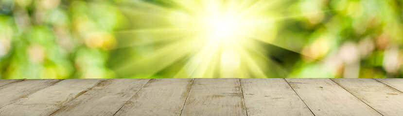 Wall Mural - image of sun and green blurred natural background  close up