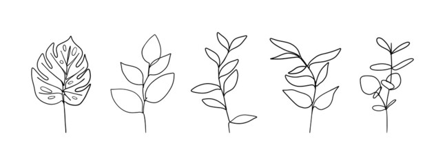 Botanical floral branch set. Abstract continuous one line drawing, organic herb foliage. Vector illustration