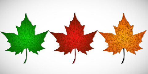 Wall Mural - set of autumn maple leaves of different colors isolated on a white background. vector illustration