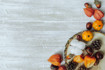 Wall Mural - autumn composition. chestnuts, pine cones, physalis, acorn on wooden background. flat lay