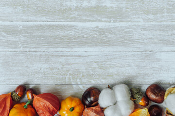 Wall Mural - autumn composition. chestnuts, pine cones, physalis, acorn on wooden background. flat lay
