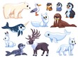 Polar animals. Antarctic mammals, isolated wildlife ocean. Funny arctic white bear, seabird, cute penguins and deer. Garish vector characters