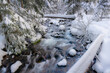 Tamanawas Creek Winter Scene 2