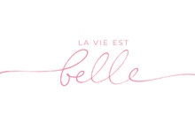 La Vie Est Belle Vector Line Lettering. Life Is Beautiful In French. Black Handwriting Calligraphy Isolated On White Background. French Expression, Beautiful Text. Modern Brush Calligraphy. 
