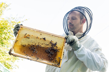 Poster - low angle view of beekeeper in protective equipment holding honeycomb frame with bees