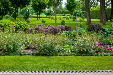 flower bed with bushes and flowers in a park with an iron drainage system grate in a garden with a landscape on a sunny summer day, nobody.