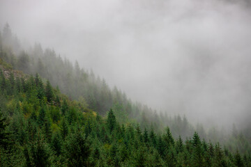  foggy landscape on a mountain slope