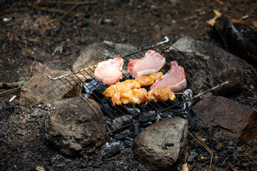 Poster - High angle shot of juicy meat cooking on a grill