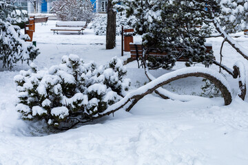 Wall Mural - Needles in the snow. Winter background with copy space