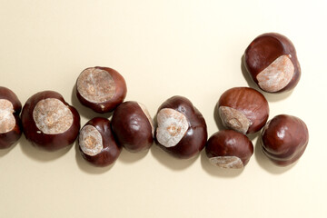 Wall Mural - chestnuts on a paper background