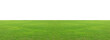 canvas print picture - Green grass field isolated on white background, for montage product display. with clipping path