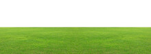 Green Grass Field Isolated On White Background, For Montage Product Display. With Clipping Path