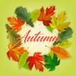 Realistic fall maple and oak leaves on color background with inscription Autumn. Autumn banner template, poster, postcard design. Vector illustration