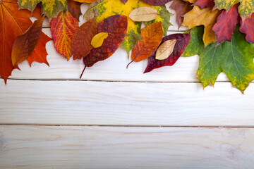 Wall Mural - autumn leaf frame for words and inscriptions, copy space