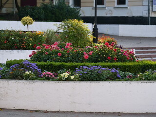 Poster - flowers in the garden