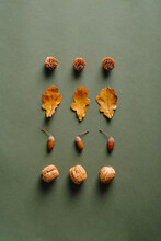 Creative Layout With Pine Cones, Dry Oak Leaves, Acorns, Walnuts On Green Background. Autumn, Fall Concept. Flat Lay, Top View.