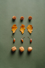 Creative layout with pine cones, dry oak leaves, acorns, walnuts on green background. Autumn, fall concept. Flat lay, top view.