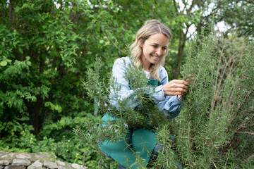 young blonde woman harvesting herbs, rosemary, mint in her garden and is happy