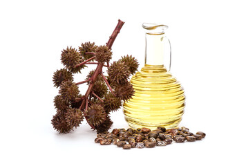 Ricinus communis or castor fruits,seeds and oil isolated on white background.