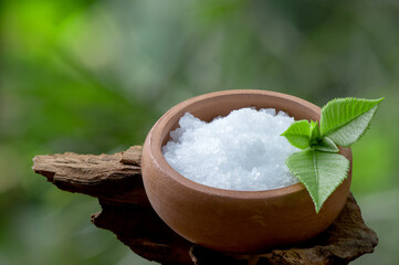 Borneolum Syntheticum, white crystal and ngai camphor tree, green leaves on nature background.