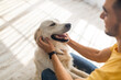 © Prostock-studio - Best friend concept. Millennial Arab man scratching his dog on floor at home, selective focus