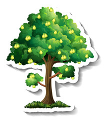 pear tree sticker on white background
