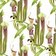 Tropical seamless pattern. Summer print. Jungle rainforest. Sarracenia, genus of carnivorous plants and orchids. Monkey cups exotic plant. Seamless floral pattern with exotic flowers and palm leaves.